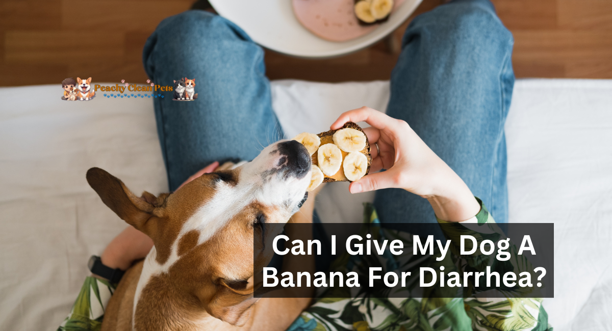 Can I Give My Dog A Banana For Diarrhea?