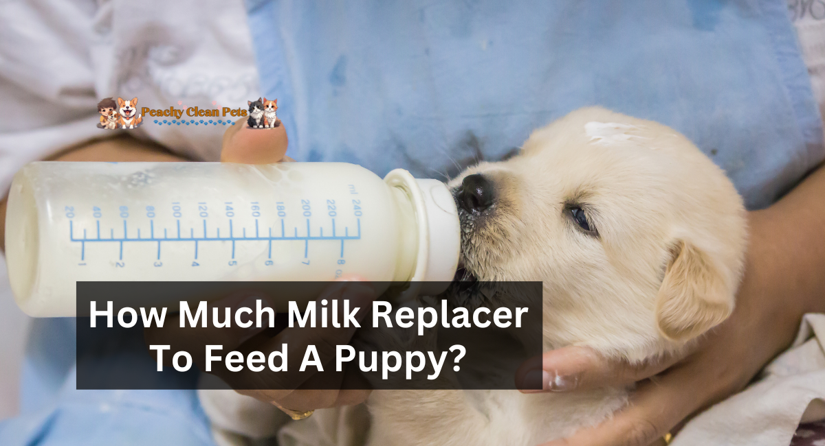 How Much Milk Replacer To Feed A Puppy?