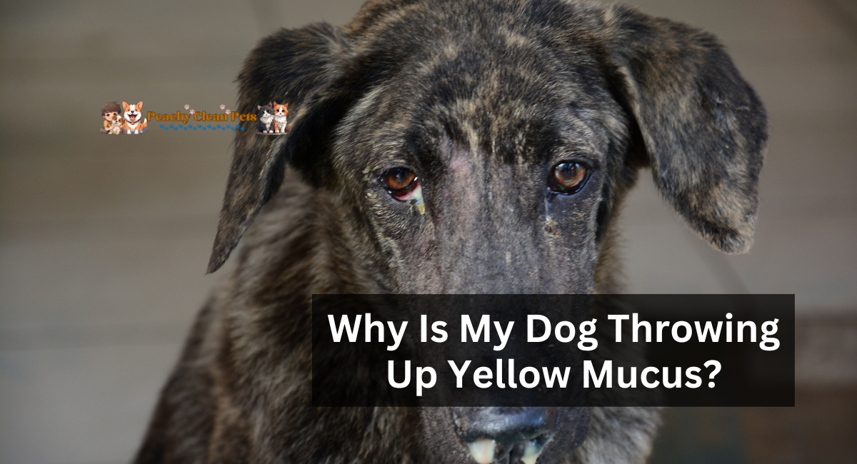 Why Is My Dog Throwing Up Yellow Mucus?