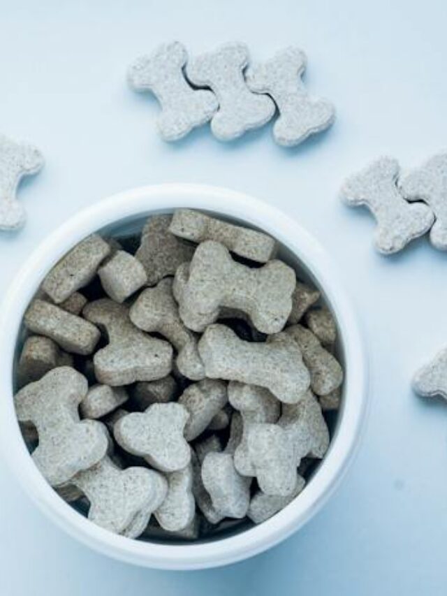 Easy Homemade Dog Treat Recipes